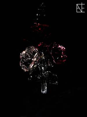 09_Rose_224215_original