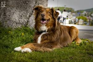 15_Nimo_0389-1_original